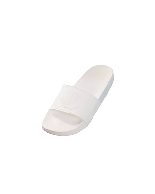 Arctic Core Slides